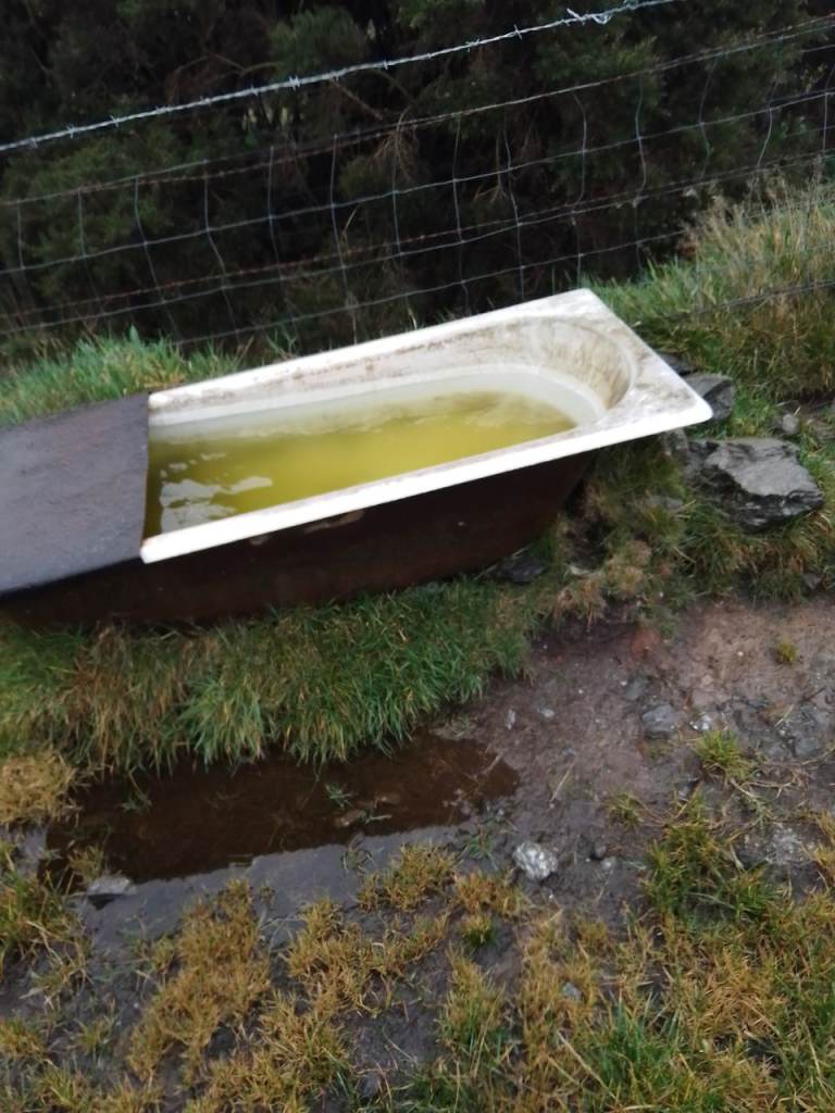 Old White Bathtub – Fair Condition, Needs a Good Clean