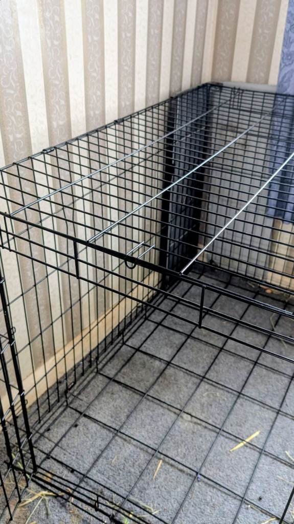 Large dog cage