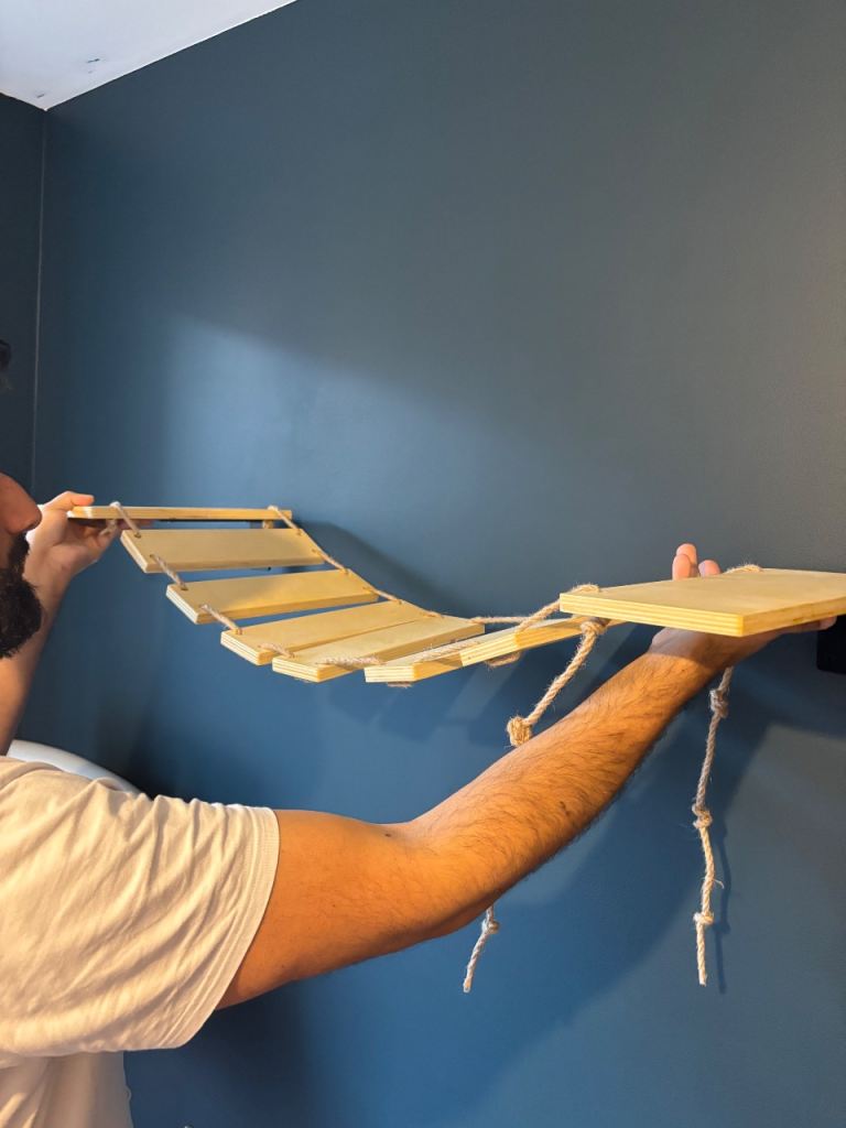 Wall mounted cat bridge 