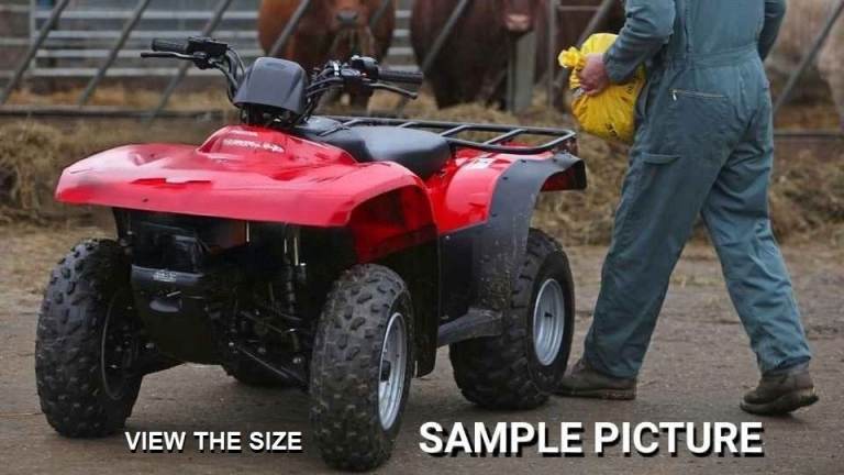 SUMMER FUN - HONDA TRX 250 RED FOURTRAX QUAD BIKE ATV Former - Fully working, Ready to drive.