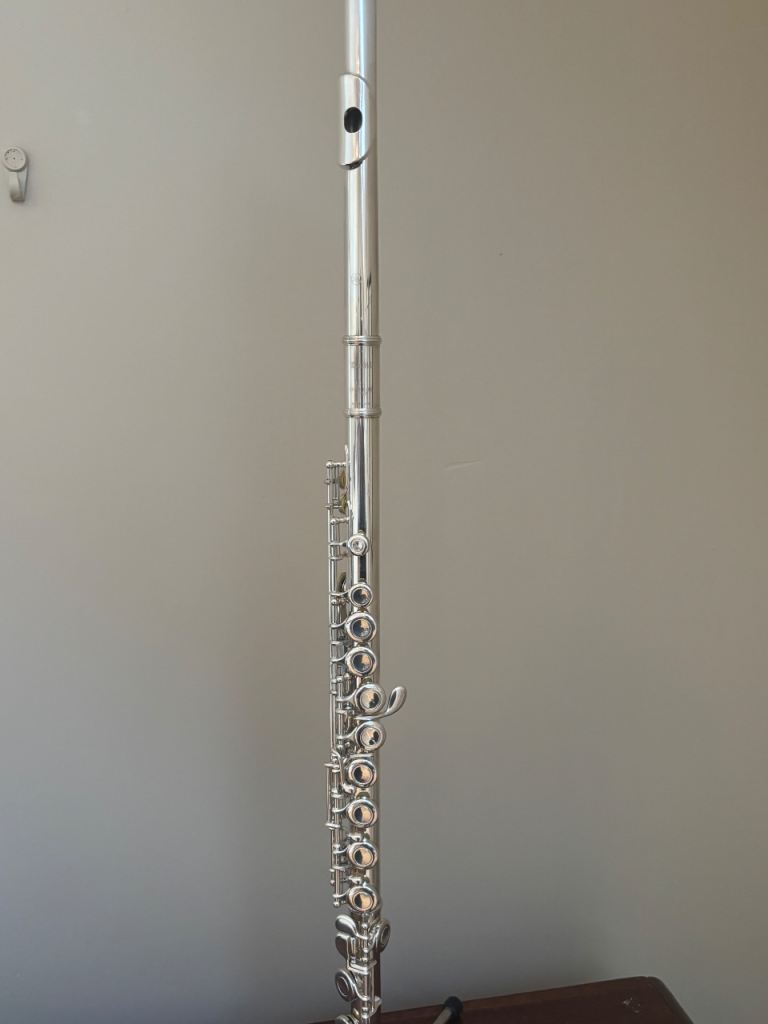 Yamaha flute | in Comber, County Down | Gumtree