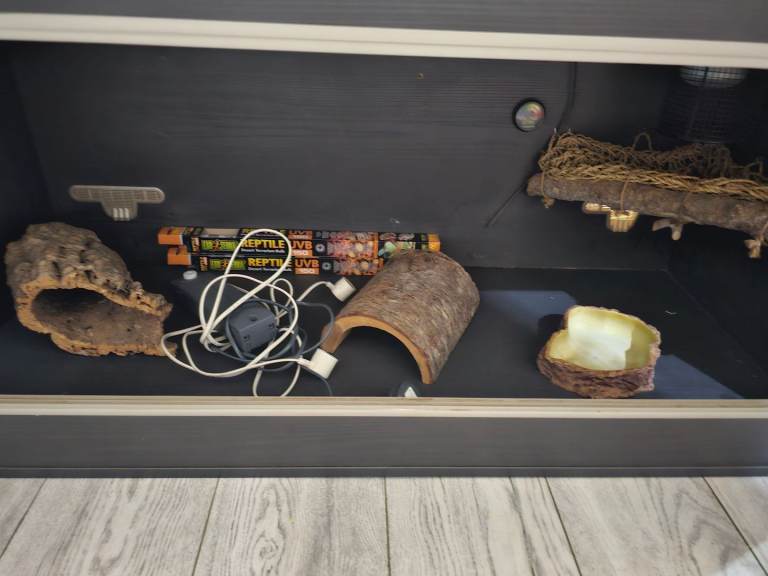 4ft vivarium full set up bearded dragon snake
