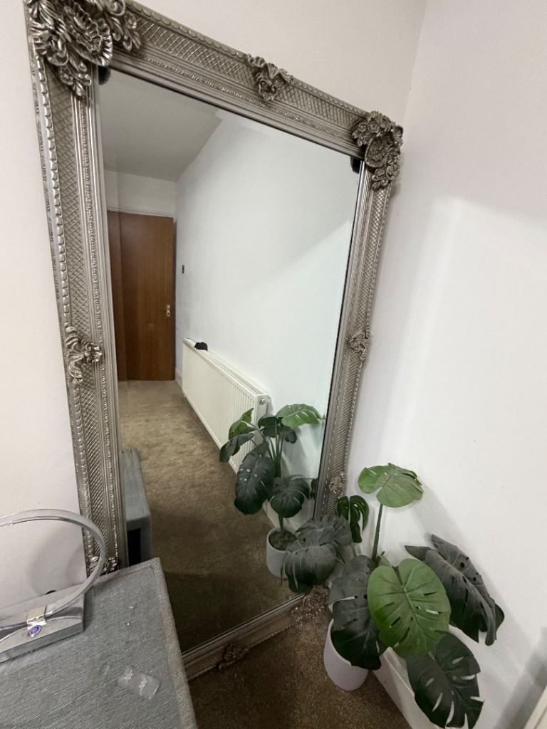 Large Silver Ornate Mirror 