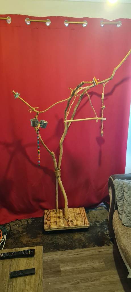 Big bird stand