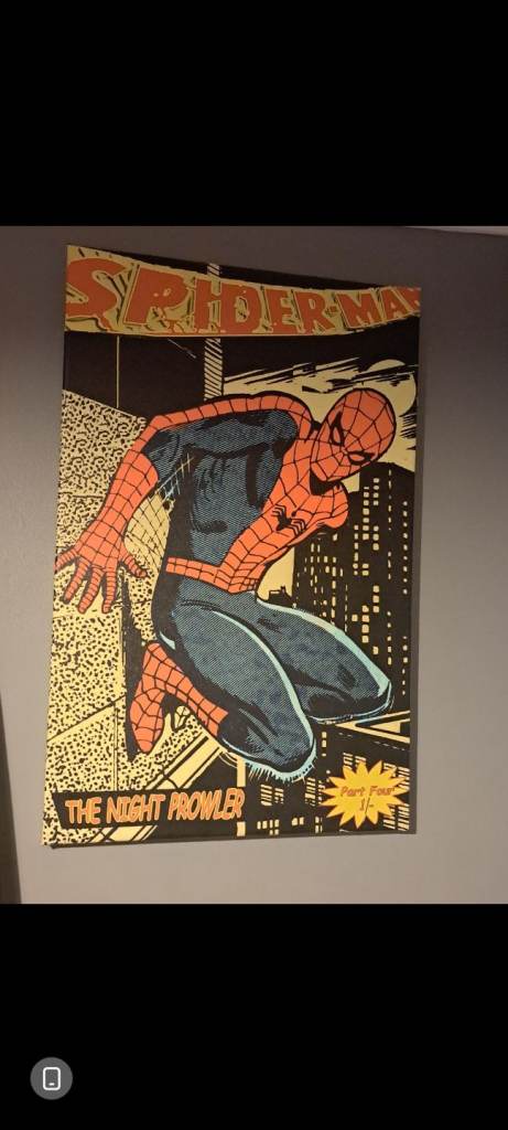 Spiderman Canvas The Night Prowler