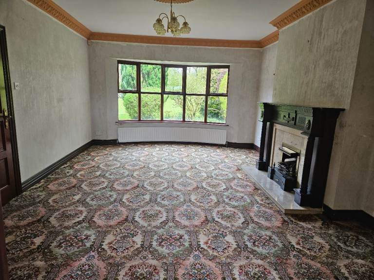 Patterned Carpet - Excellent Condition