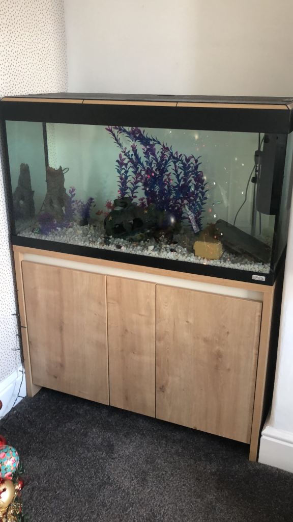 Fluval Roma 200 L Fish Tank