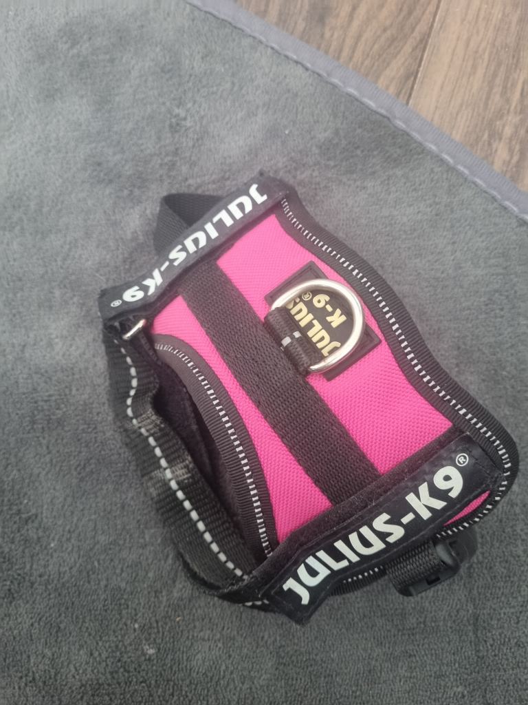 Julius k9 harness