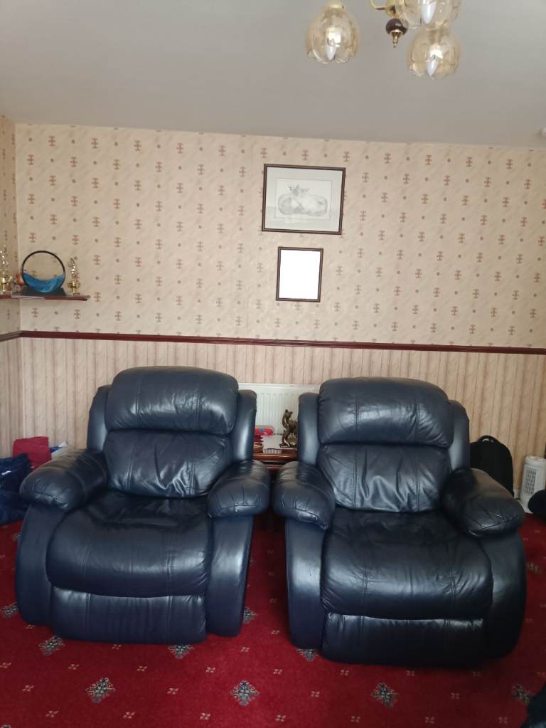 Blue leather armchairs 