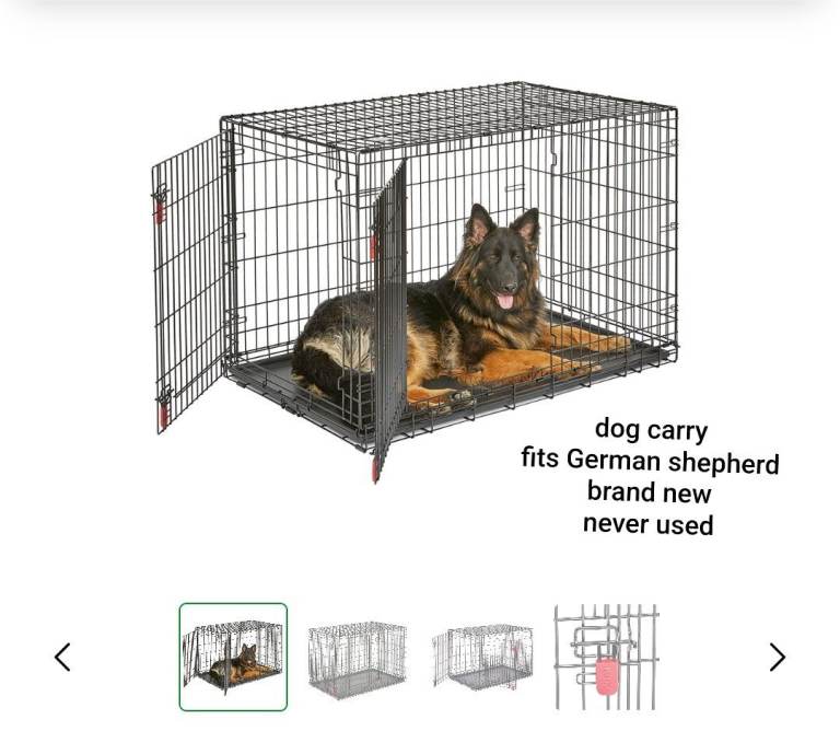 Dog carry large brand new 