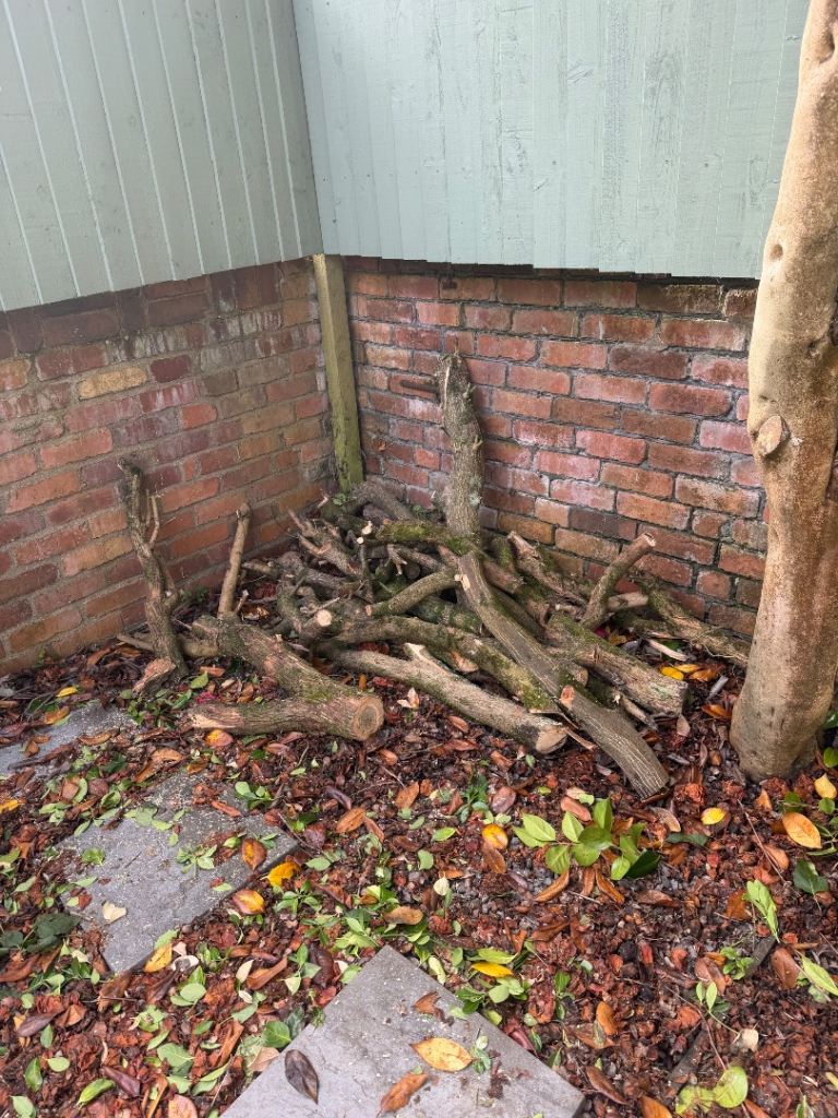 FREE wood logs 