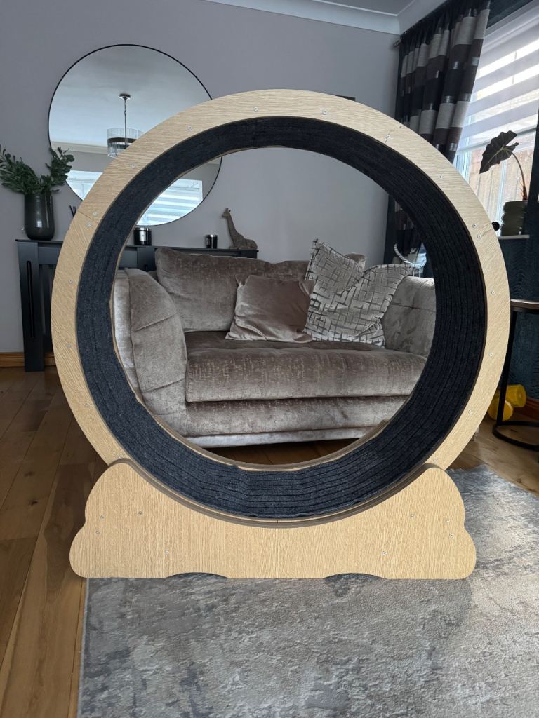 Large cat wheel