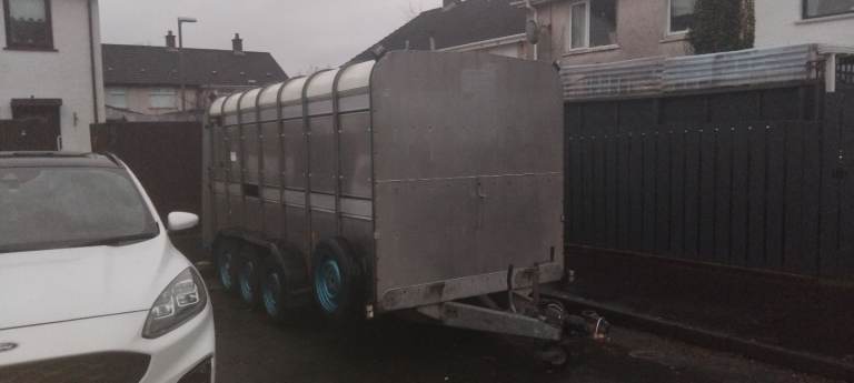 Iforwilliams TA510 14x6 Cattle Trailer 💥Reduced 💥 NO VAT 