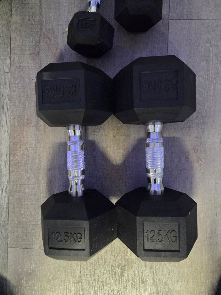12.5kg dumbells