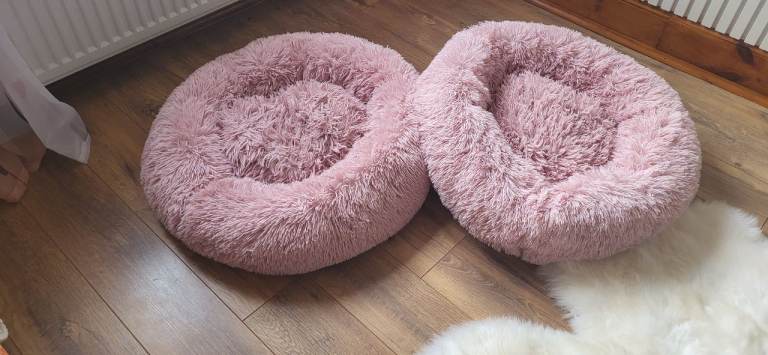 Pink cat beds