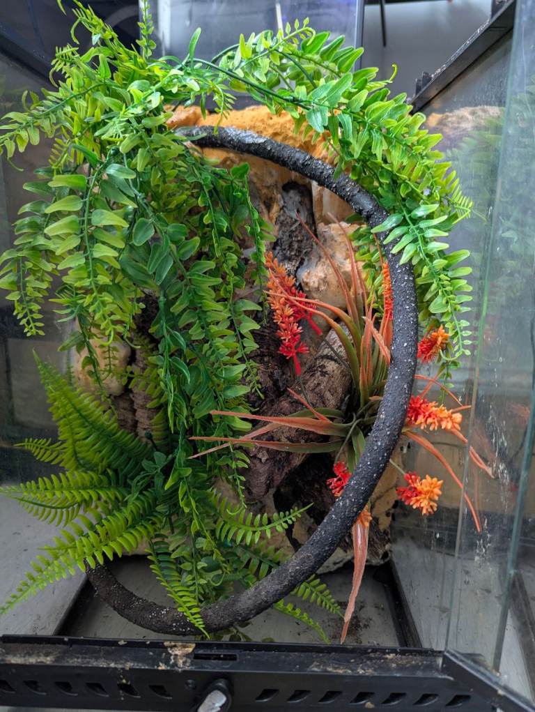 Exoterra 30*30*45