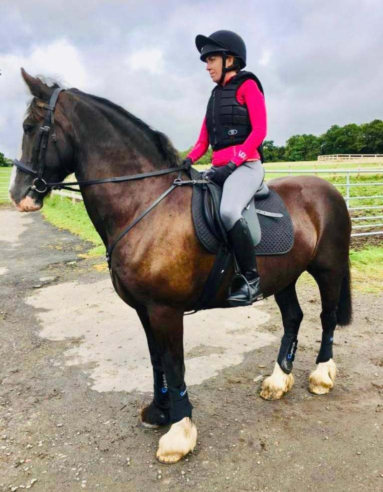 Irish Sport Horse Mare – £4,950
