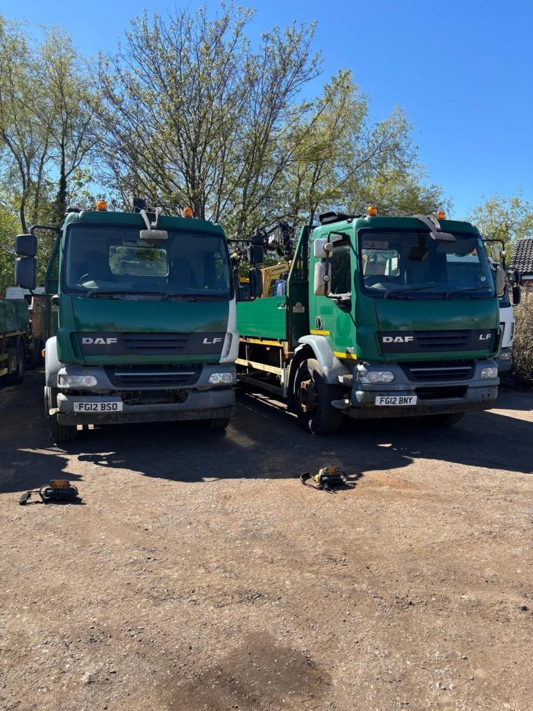 DAF TRUCKS LF