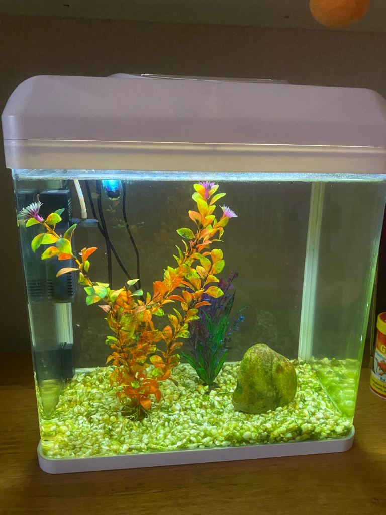 White fish tank (50 Ltr) with uv bulb,light,gravel,plants & filter…… everything pictures…. 