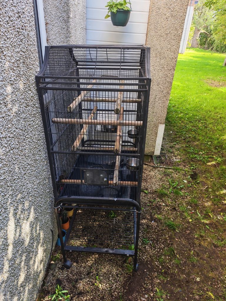 Large black bird cage with perches and feeders on wheels