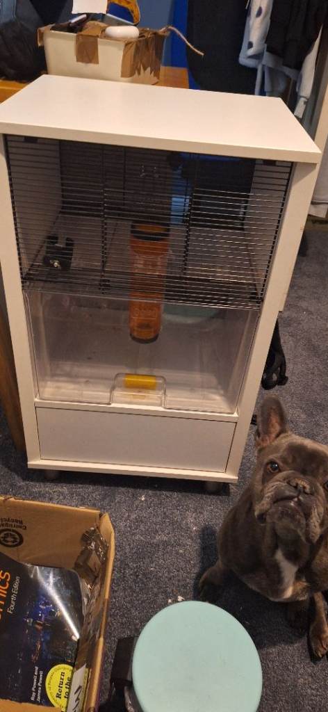 OMLET hamster cage-NEED GONE