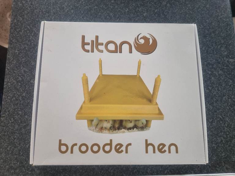 titan brooder