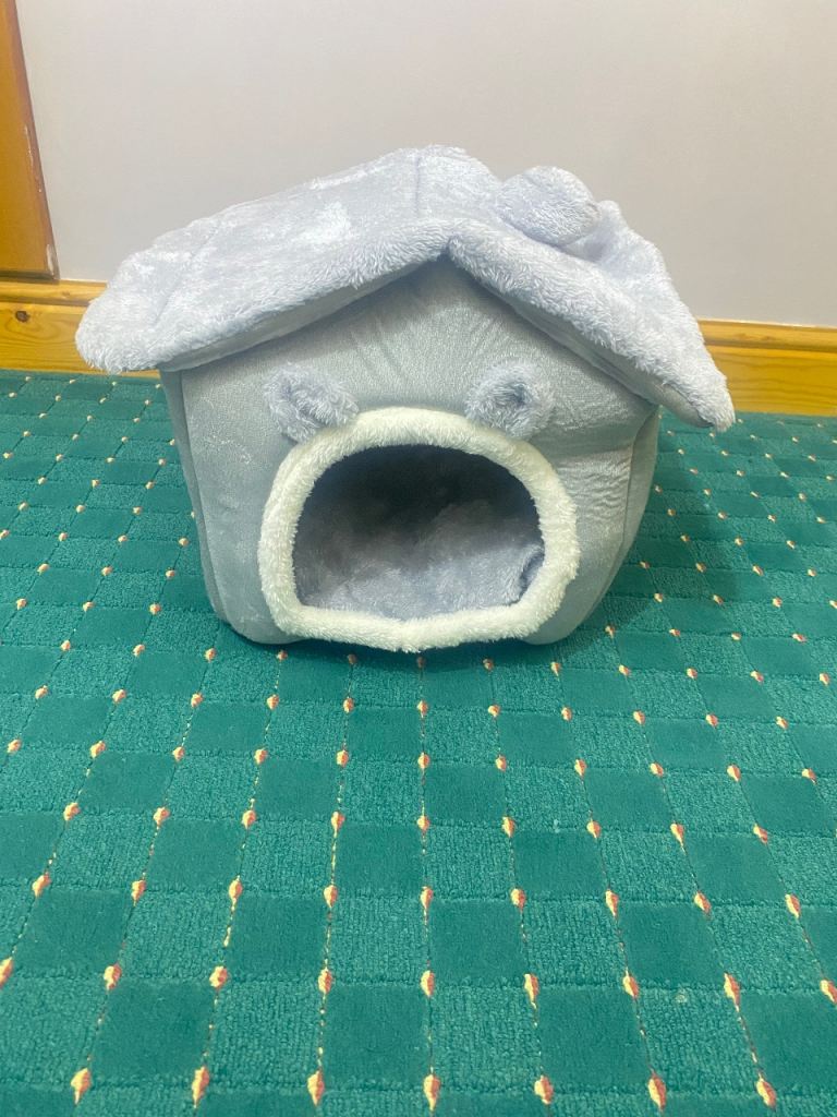 Cat things 