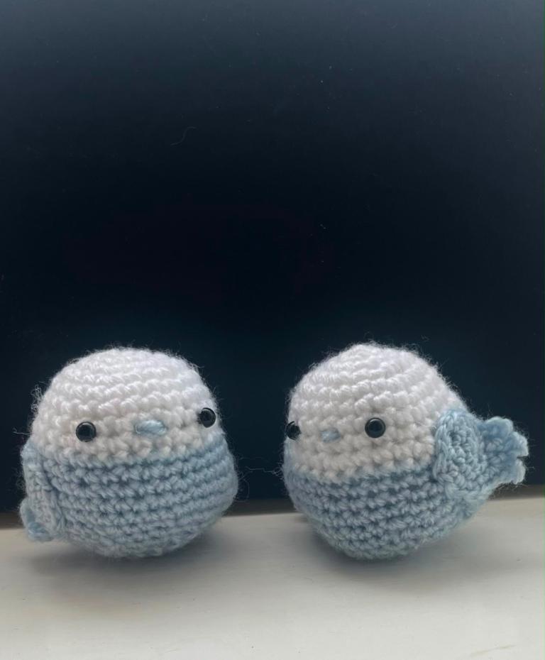 Crochet Budgie Handmade