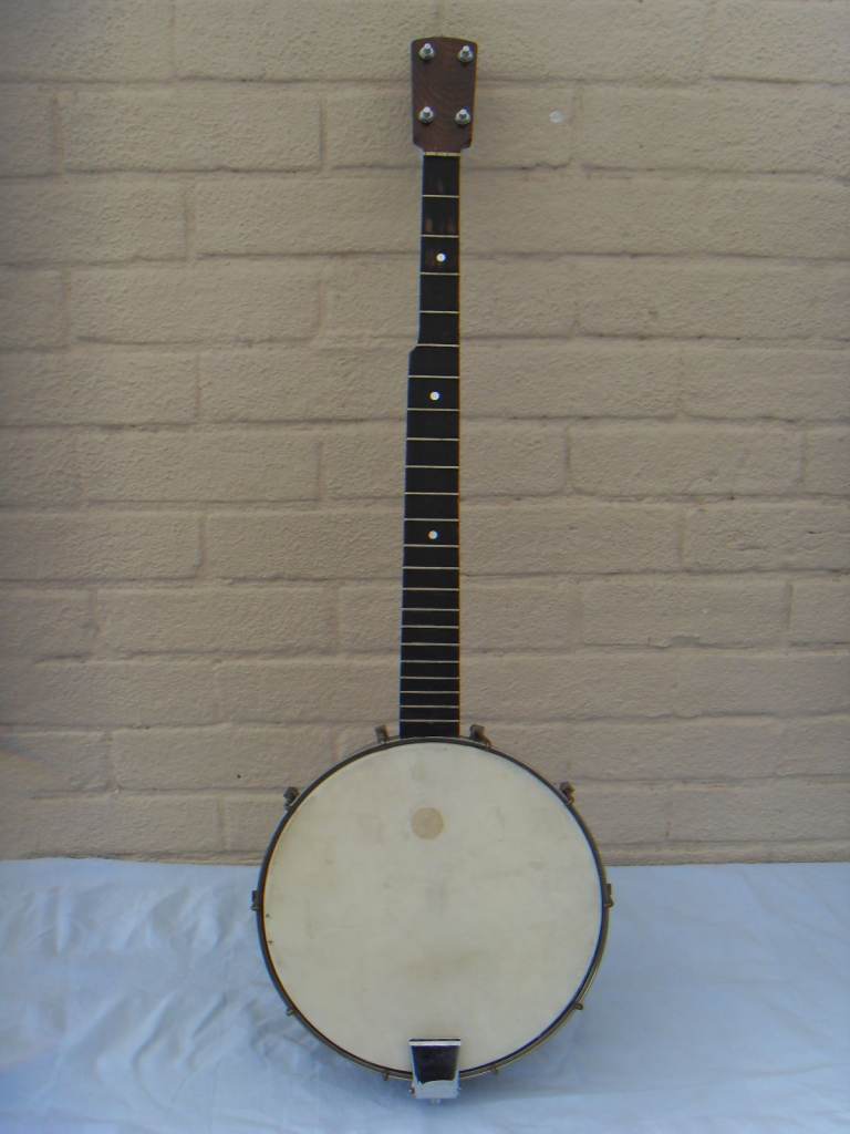 banjo project 5 string