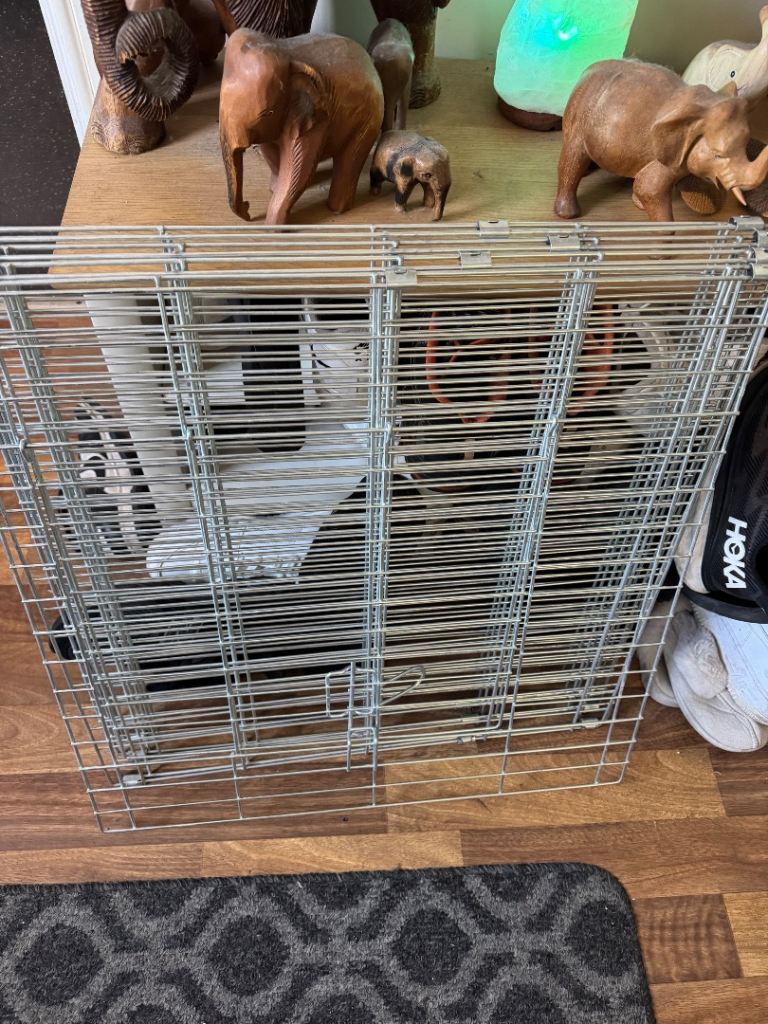 Meduim dog crate 