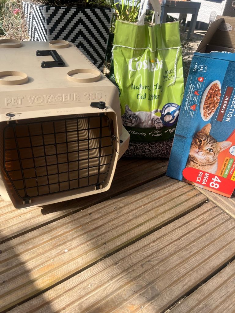Cat carrier, cat litter and supplies 