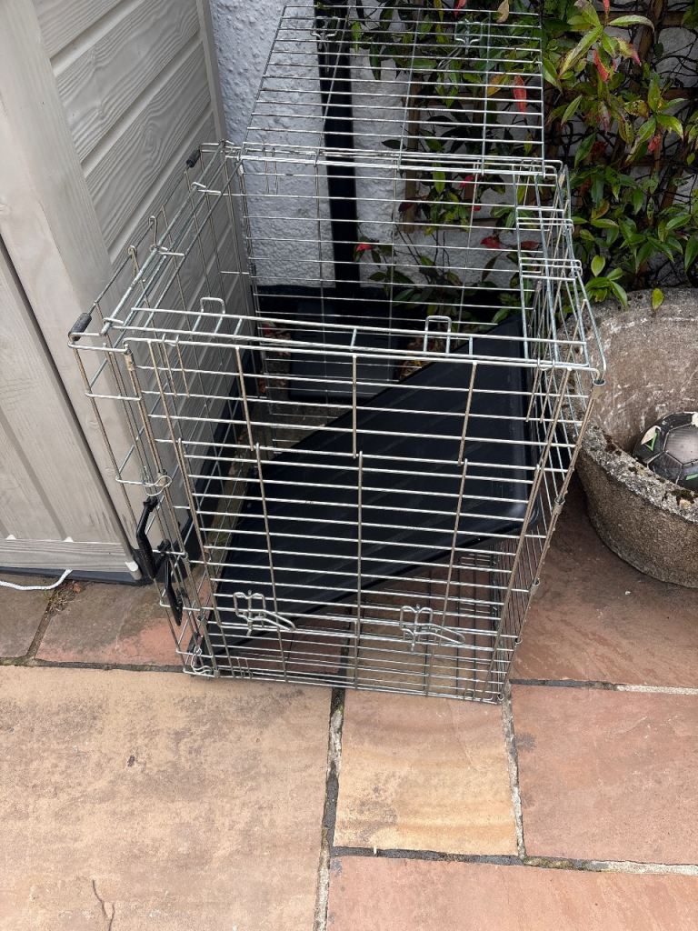 Medium dog crate 