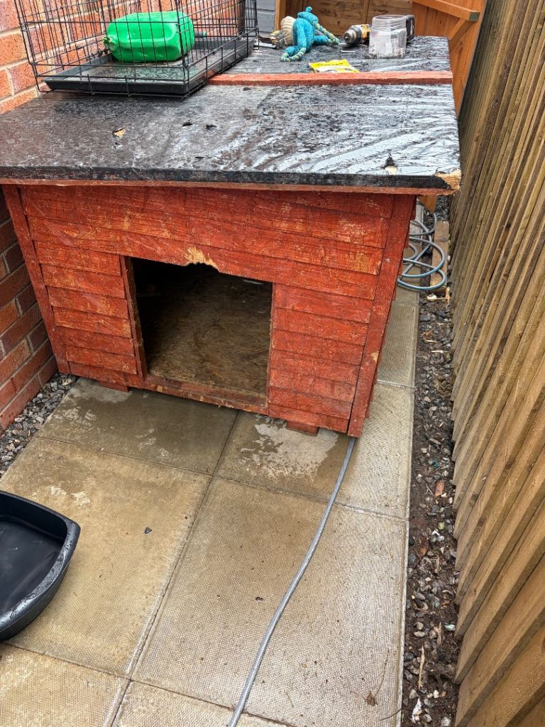 Free large dog kennel 