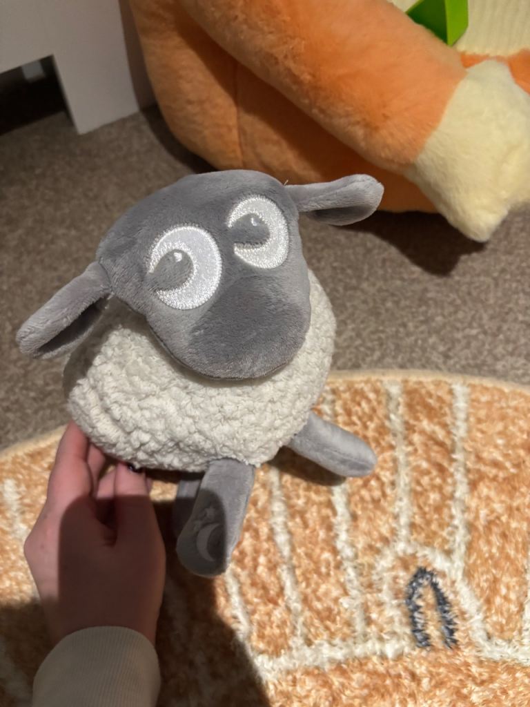 Ewan the sheep