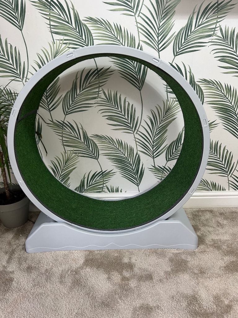 Cat Exercise Wheel