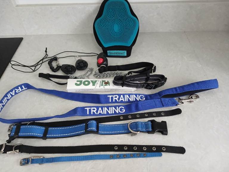 Bundle of Dog Accessories