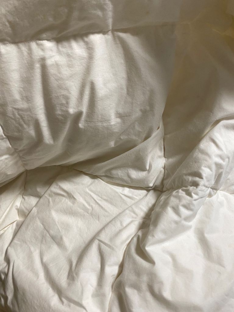 2 x double winter or summer white goose down duvets - £8 (Wallisdown)