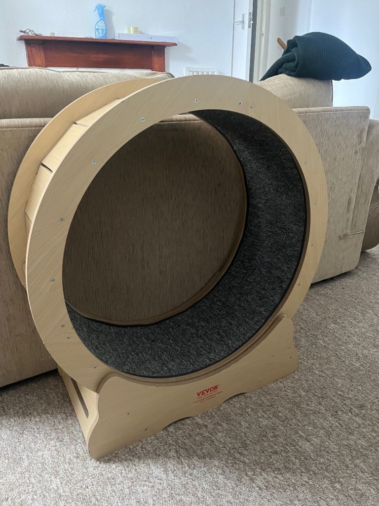 Cat Wheel