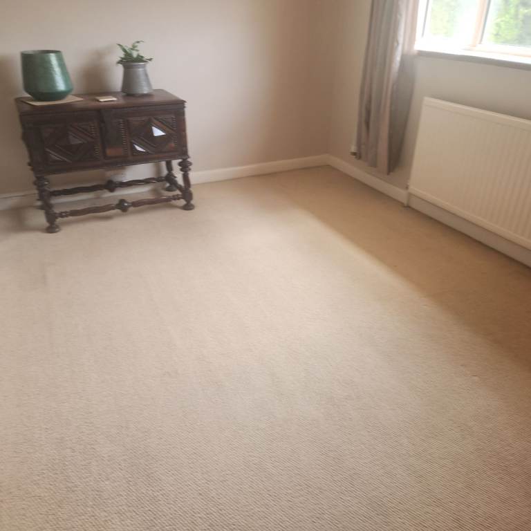 Cream/Beige Carpet – Good Condition, Clean