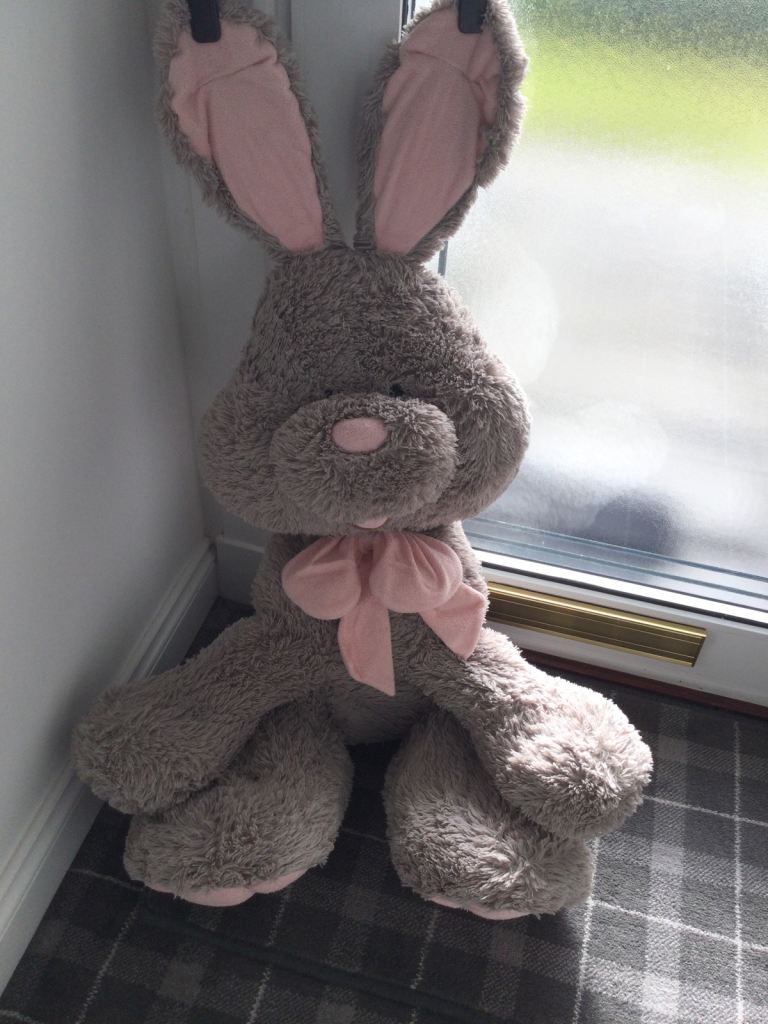 Extra large bunny rabbit