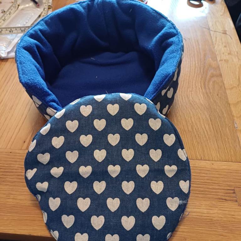 Guinea pig, cuddle cup 