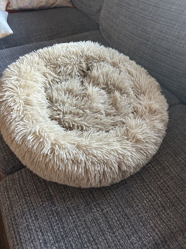 Cat bed