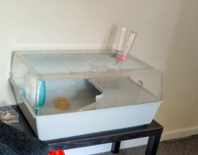 Hamster 
 cage with water bottles and food bowl