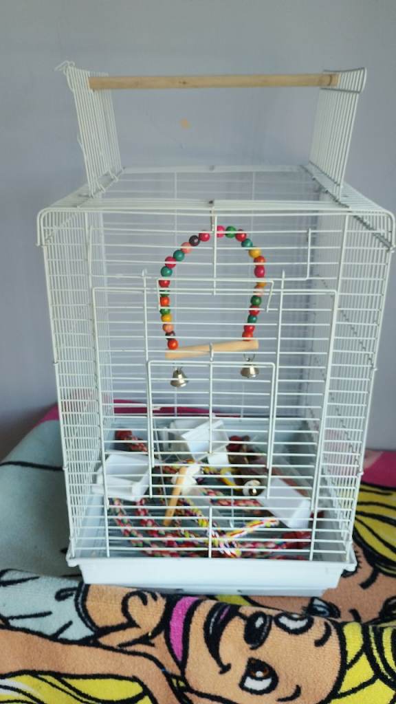 Bird cage 
