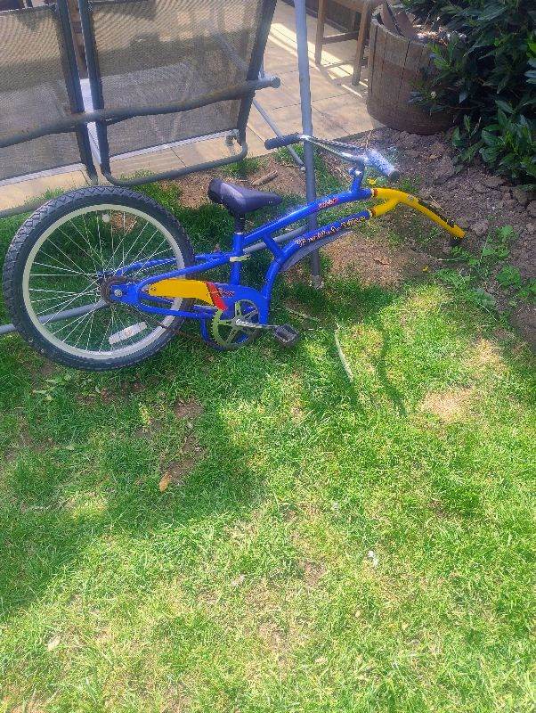 Tag along bike 