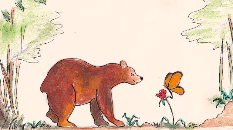 Illustrations for children's books and spaces