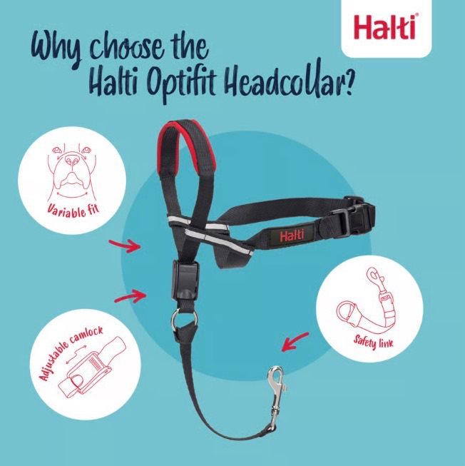 Halti Optifit Dog Headcollar Black Small