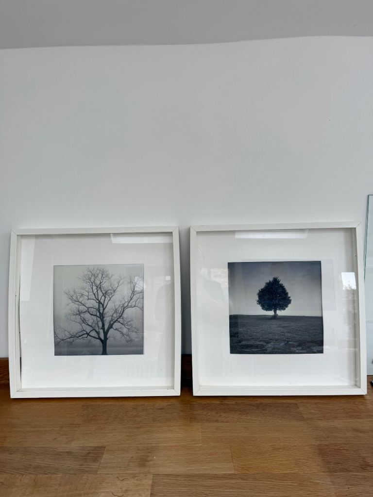 IKEA RIBBA Framed Tree Prints FREE 