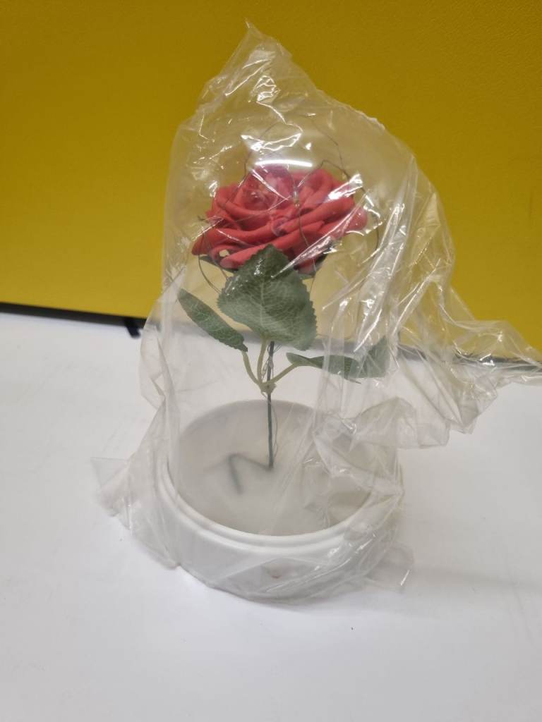 X18 LED rose cloche 