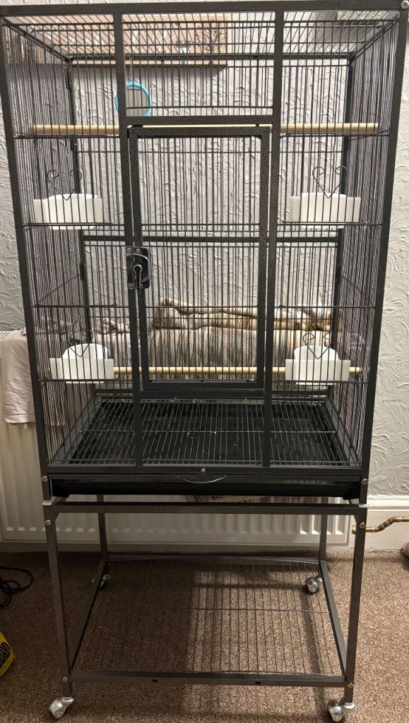 Bird cage 